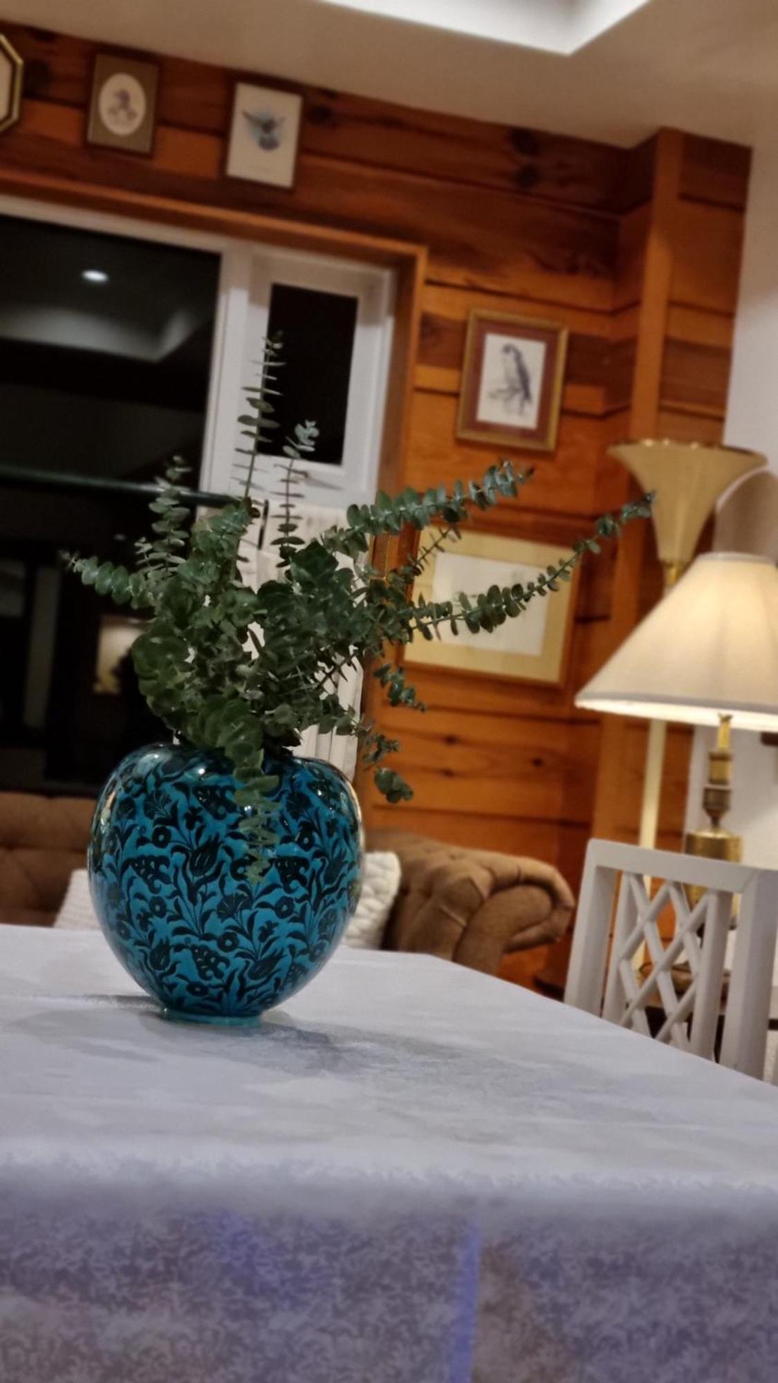 Guest Haven Chalet Baguio Bed And Breakfast Baguio City Dış mekan fotoğraf